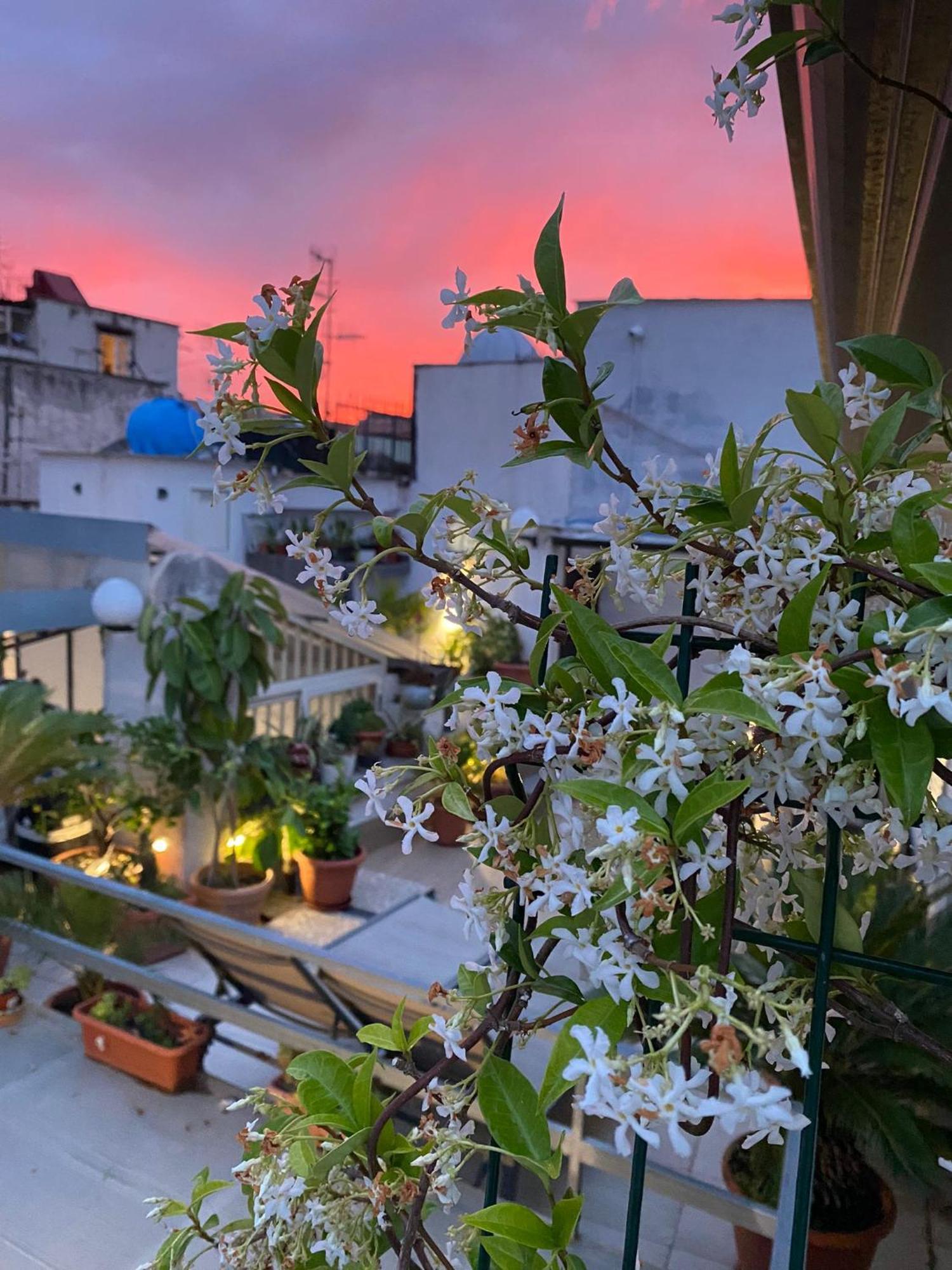 Casa Franzese Bed & Breakfast Napoli Dış mekan fotoğraf